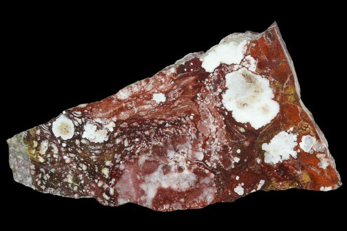 Polished Wild Horse Magnesite Slice - Arizona #114285